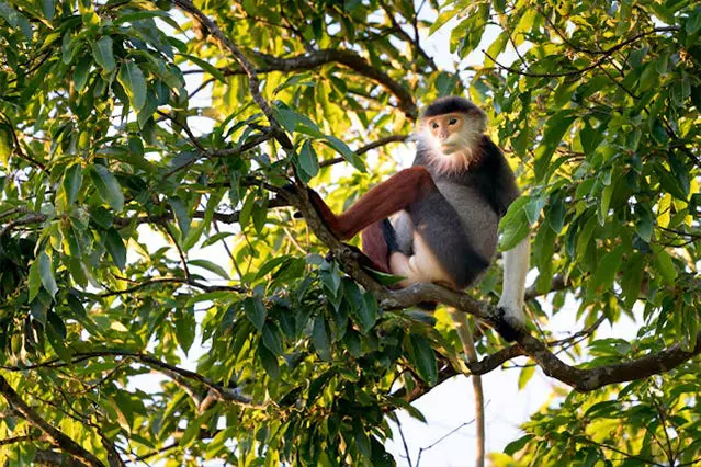 Destinazioni-esotiche-Madagascar-Travelgood-servizi-per-agenzie-viaggio